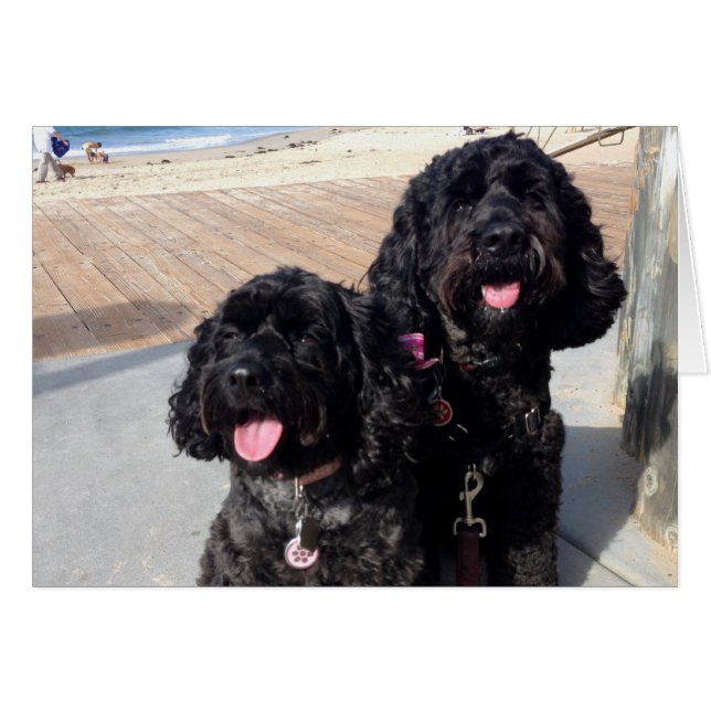 Love Forever Card (Voorkant Horizontaal)