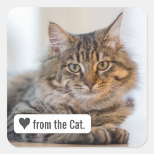 Love from Cat with Heart Carré Enveloppe Sticker