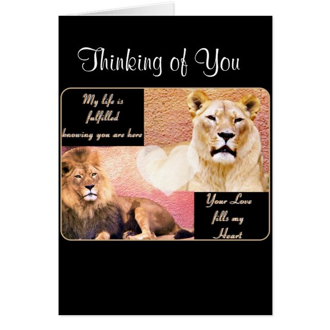 Love Fulfill, Love You_ (Voorkant)