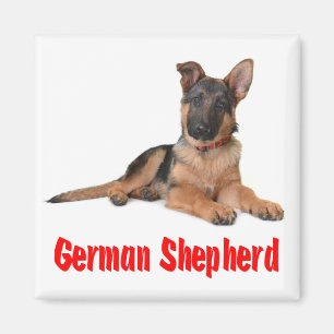 Love German Shepherd Puppy Dog Fridge Magnet Magneet