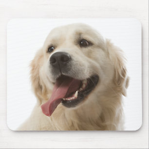 Love Golden Retriever Puppy Dog Portret Mousepad Muismat