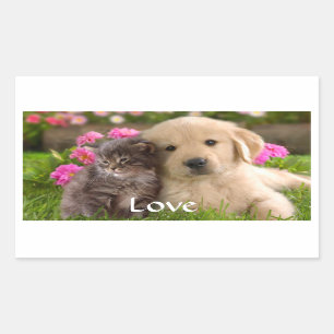 Love Golden Retriever Puppy et Kitten Stickers