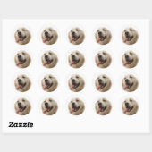 Love Golden Retriever Stickers Chien Chien Chien C (Feuille)