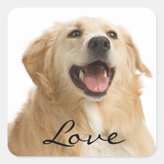 Love Golden Retriever Stickers Chien Chien Chien C (Devant)