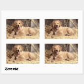 Love Golden Retriever Stickers Chien Chien Chien C (Feuille)