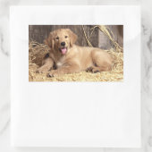 Love Golden Retriever Stickers Chien Chien Chien C (Sac)