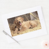 Love Golden Retriever Stickers Chien Chien Chien C (Enveloppe)