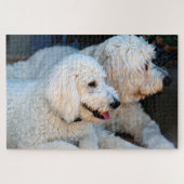 Love Goldendoodles Legpuzzel (Horizontaal)