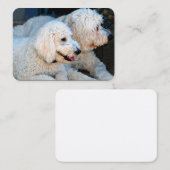 Love Goldendoodles Visitekaartje (Voorkant / Achterkant)