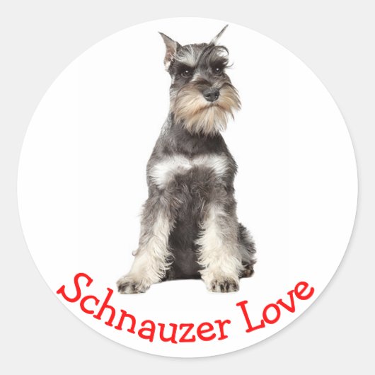 Love Grey Schnauzer Sticker Chien Chien Chien (Devant)