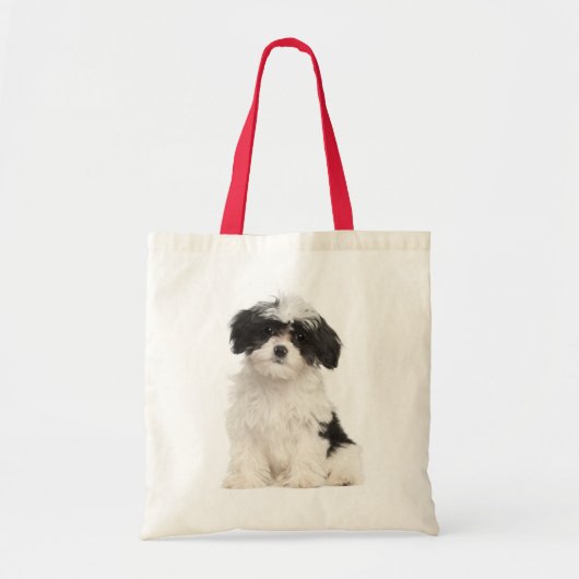 Love Havanese Puppy Dog Canvas Sac fourre - tout (Devant)