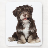 Love Havanese Puppy Dog Mousepad Muismat (Voorkant)