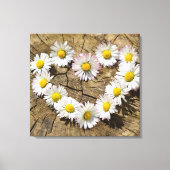 Love Heart Daisies Canvas Afdruk (Voorkant)