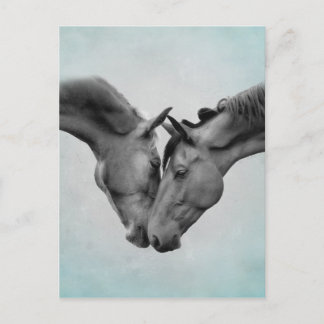 Love Horses Briefkaart