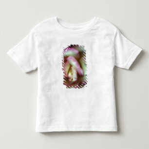 <Love is a Rose>van Nathan Griffith Kinder Shirts