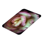 <Love is a Rose>van Nathan Griffith Magneet (Linkerzijde)