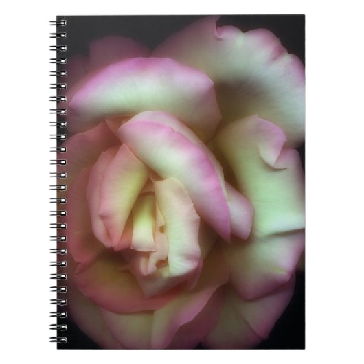 <Love is a Rose>van Nathan Griffith Notitieboek (Voorkant)