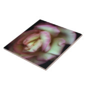 <Love is a Rose>van Nathan Griffith Tegeltje (Zijkant)