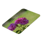 Love is Patient Roses Magneet (Linkerzijde)