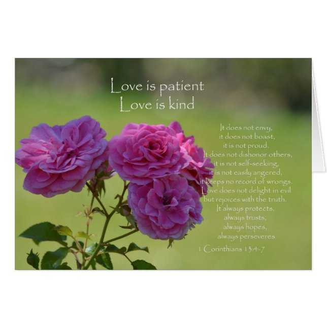 Love is Patient Rozen (Voorkant Horizontaal)