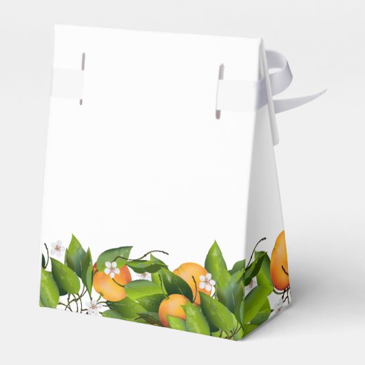 Love is Sweet Oranje Citrus Fruit | Weddenschap Bedankdoosjes (Achterkant)