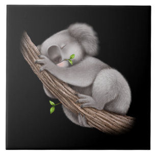Love Koala Beren Classic Tegeltje