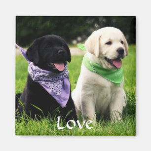 Love Labrador Retriever Puppies Koelkast Magnet Magneet
