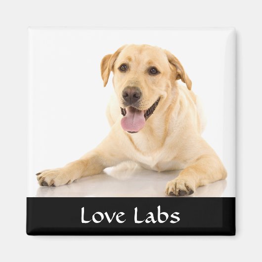 Love Labs "Yellow Labrador Retreiver" magneet (Voorkant)