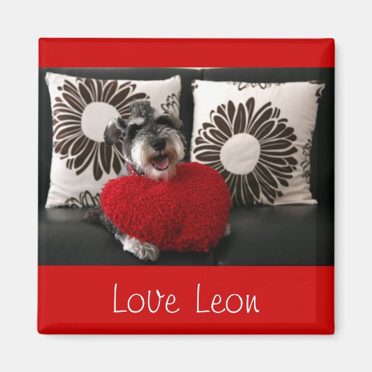Love Leon Magneet (Voorkant)
