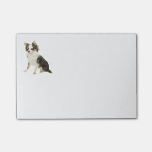 Love Long Hair Chihuahua Puppy Dog Post-it® Notes