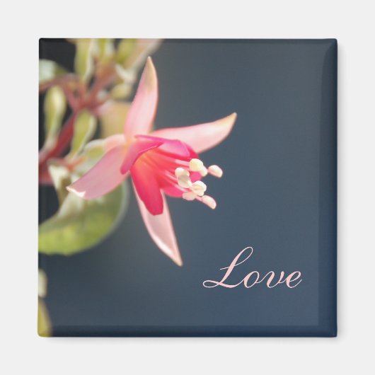 Love Magnet Magneet (Voorkant)