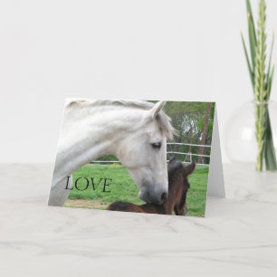 LOVE MARE EN VEULEN KAART