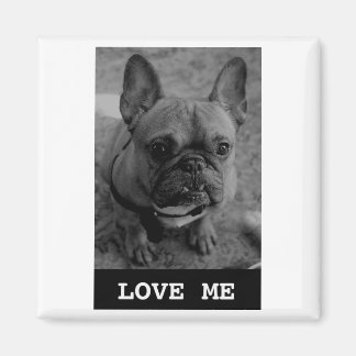Love Me Magnet Magneet