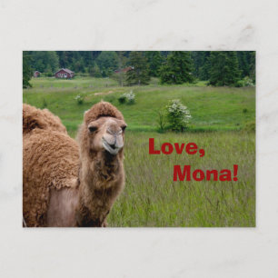 Love, Mona briefkaart