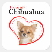 Love My Chihuahua Stickers (Devant)