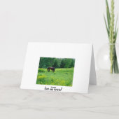 LOVE MY HORSIE kaart! Kaart (Achterkant)