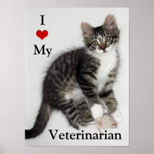 Love My Veterinarian Kat Poster