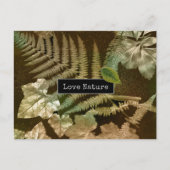 Love Natuur Ferny Leaf Print Feestdagenkaart (Voorkant)