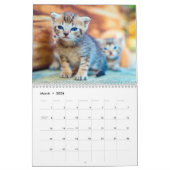Love of Kitties Calendrier de mur photo (Mar 2026)