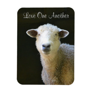 Love One Weer Sheep Magneet