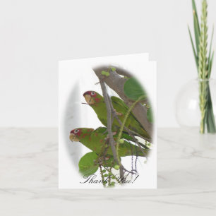 Love Parrots Bedankkaart