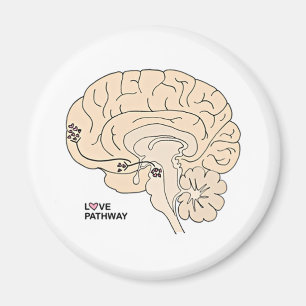 Love Pathway: Liefde in de hersenen Magneet