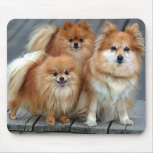 Love Pomeranian Puppy Dog Mousepad Muismat