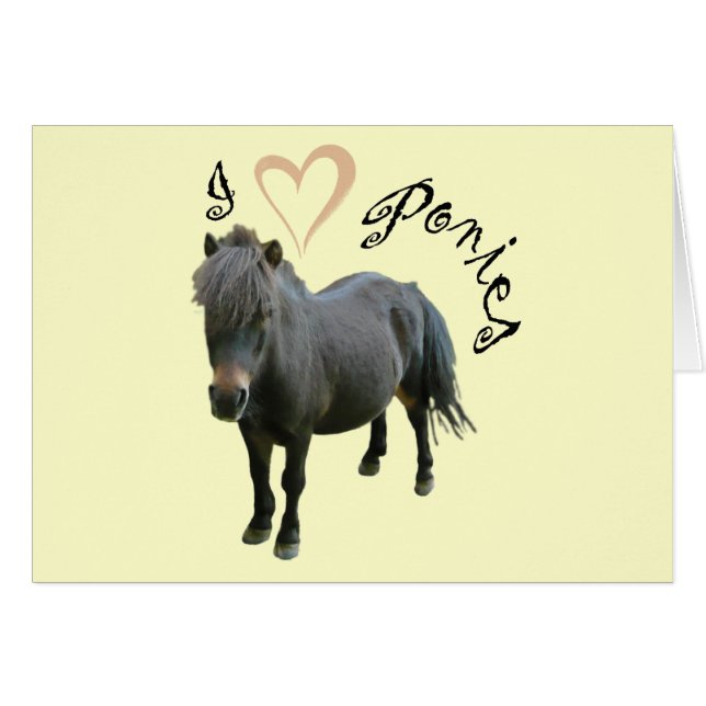 Love Ponies (Devant horizontal)