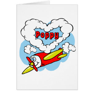 Love Poppy Kinder Airplane