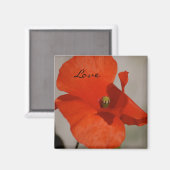 Love Poppy Magnet (Recto/Verso)
