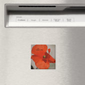 Love Poppy Magnet (In Situ (Lave-vaisselle))
