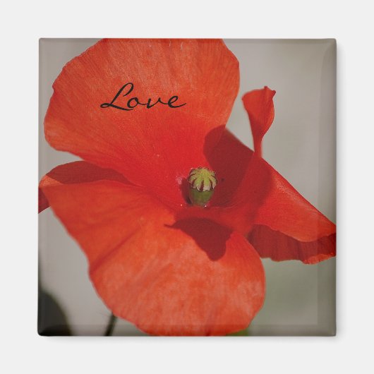 Love Poppy Magnet (Devant)