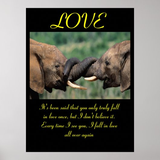 LOVE Posters Animal 6 (Devant)