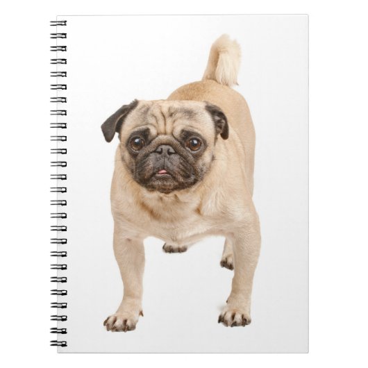 Love Pug Puppy Dog Notebook/Journal Notitieboek (Voorkant)